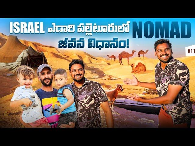 Nomad Daily Life In Desert  | Farming In Israel  | Uma Telugu Traveller