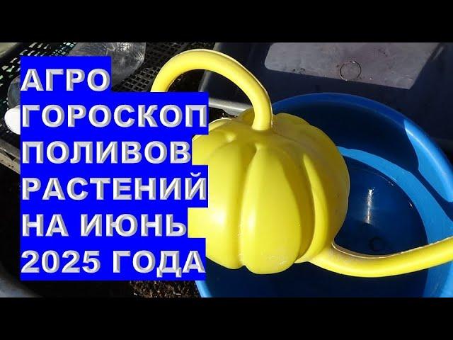 Секретные даты для идеального полива в июне 2025!