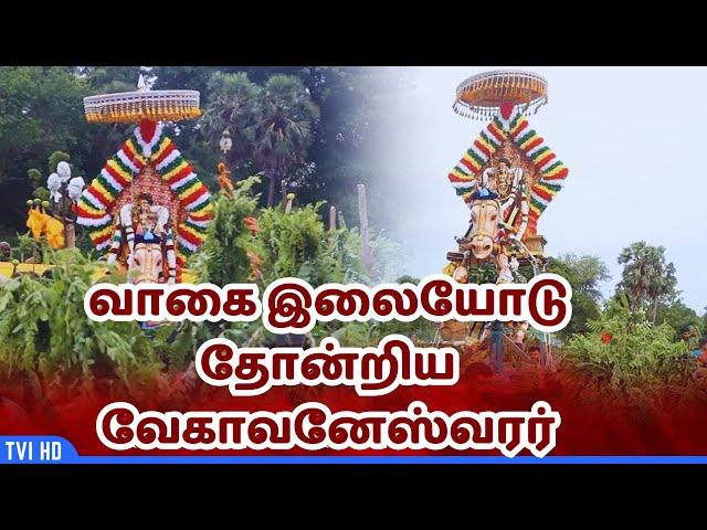 ஒட்டுசுட்டான்- தான்தோன்றீஸ்வரர் வேட்டைத்திருவிழா/ mullaitivu Oddusuddan Thanthondreeswarar