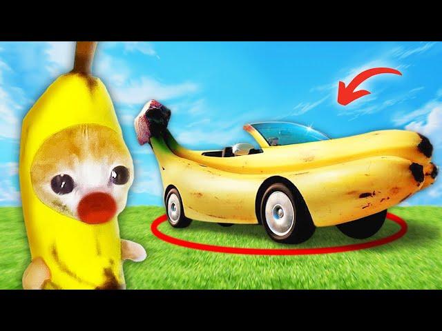 Banana Cat's Upgrade: From Bike to Banana Car!!!  Baby Banana Cat Compilation | Happy Cat MEME 