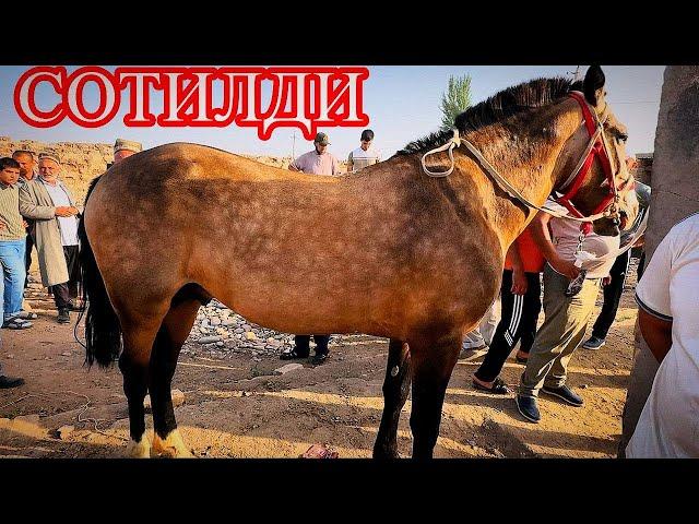 СУРХОНДАРЁ САРИОСИЁ ОТ НАРХЛАРИ ТУШДИ