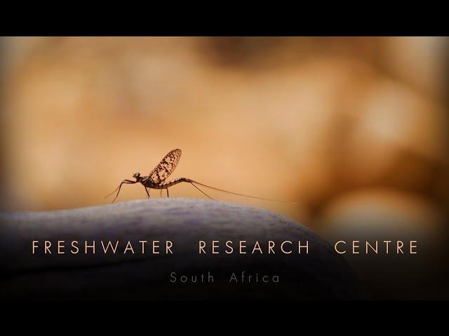 Freshwater Research Centre, South Africa