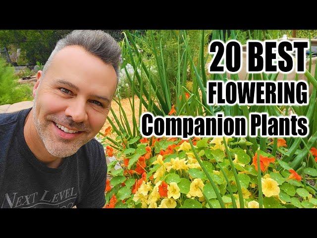 Best Companion Planting Flowers for the Vegetable Garden