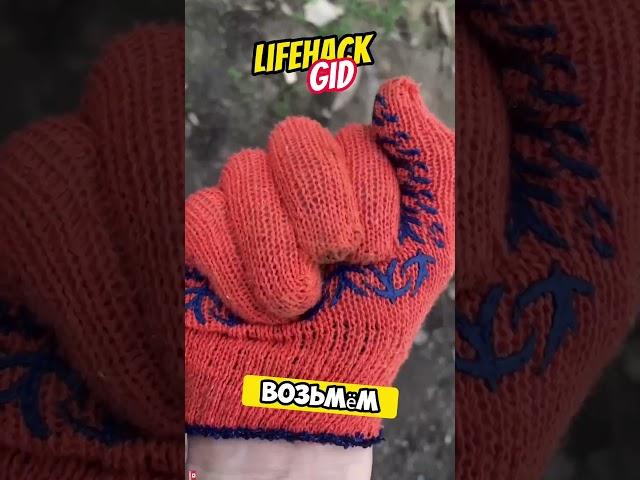 Универсальные советы для дома. Больше интересного в телеграм #lifehacks #diy #tools #tips #shorts