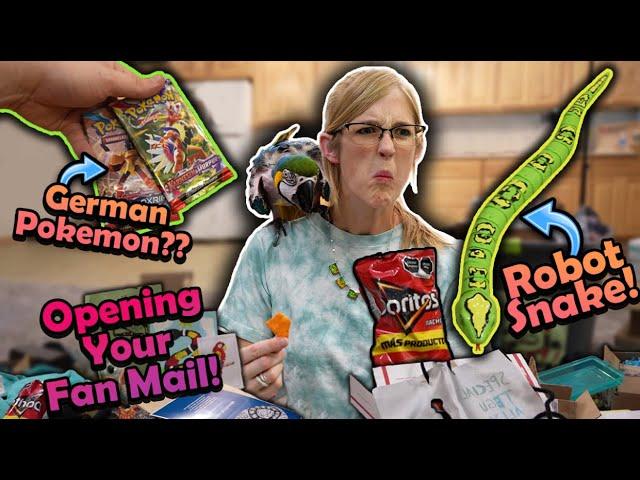 Weird Mexican Doritos in our Mail?! (Fan Mail #28)