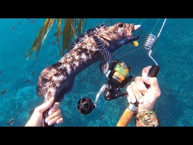 INCREDIBLE Underwater Fishing in CRYSTAL CLEAR WATER!