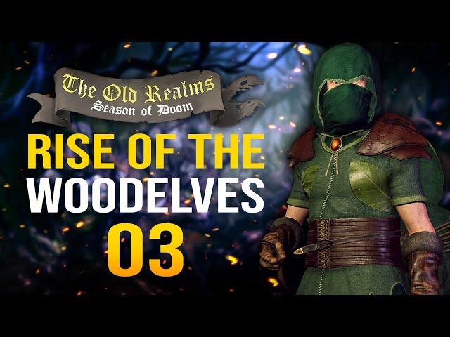 THE DEADLY DEFENDERS! The Old Realms Warhammer Mod - Mount & Blade II: Bannerlord - Wood Elf #3