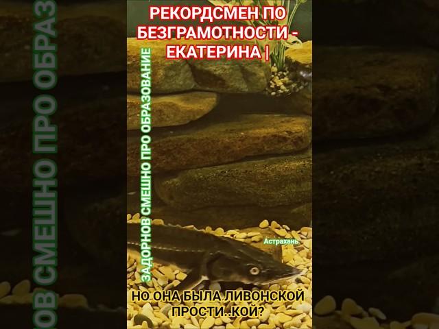 И ей простительно? #юмор #мудрость #честь #удачи #здоровье #успех #смех #задорнов #мир #деньги