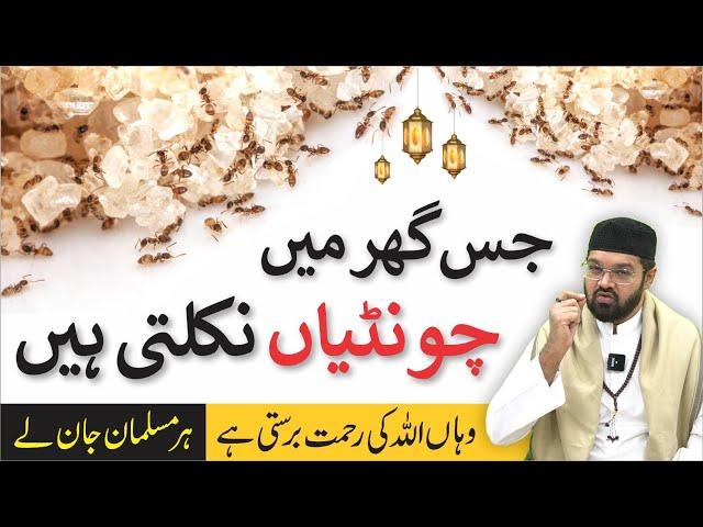 Jis Ghar me Chuntiya Wahan Allah Ki Rehmat | Dr. Fahad Artani Roshniwala