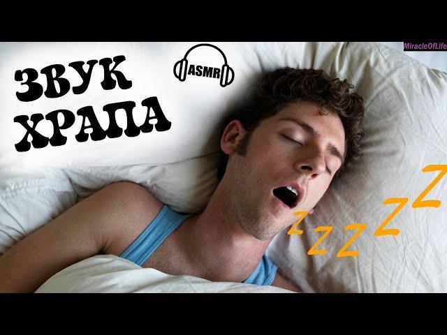 ЗВУК ХРАПА !!! 30 минут улетного веселья !!! МЕРЗКИЕ ЗВУКИ !!!