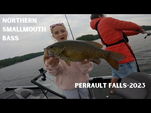 This Lake is FILLED with Smallmouth Bass- (Fishing Nordic Point Lodge, Perrault Lake 2023)