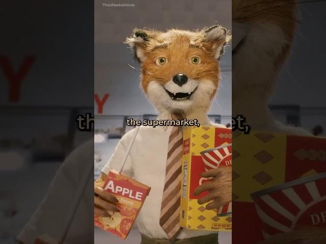 Did you notice THIS detail in Fantastic Mr fox?