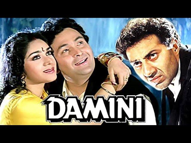 Damini || Sunny Deol And Meenakshi Seshadri || Full Movie Facts And Story