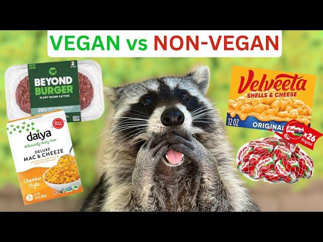 Do Raccoons Want To Be Vegan? (Taste Testing Beyond Burger, Babybel, & Velveeta!)