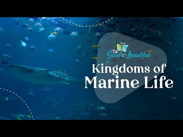 Kingdoms of Marine Life | Marine Biology | The Good and the Beautiful