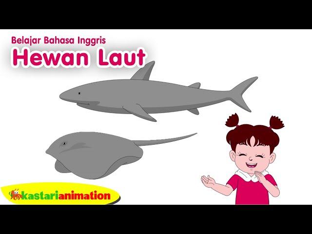 BELAJAR BAHASA INGGRIS - HEWAN LAUT - Seri PAUD Diva - Kastari Sentra Official