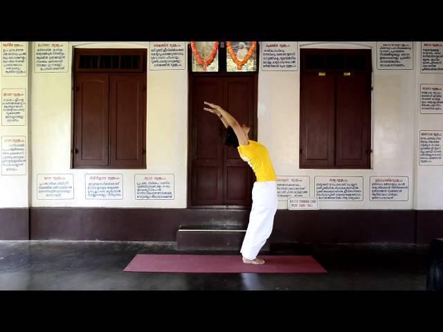 30 minutes practice of Sivananda Yoga for beginners to intermediates