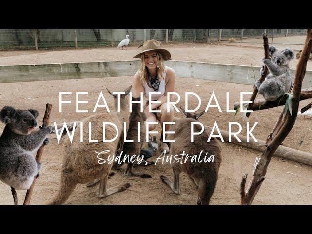 Featherdale Wildlife Park in Sydney, Australia | Koalas, Kangaroos, Quokkas, & more!