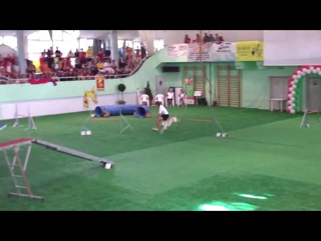 agility ind junior Mike Peter Youry