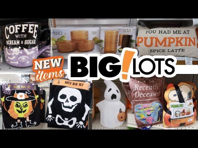 BIG LOTS * NEW FALL DECOR 2024 & MORE