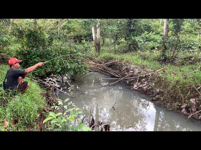 Wah wah.!!! Ikan nya babon babon mancing di parit parit kecil yang banyak rumputnya