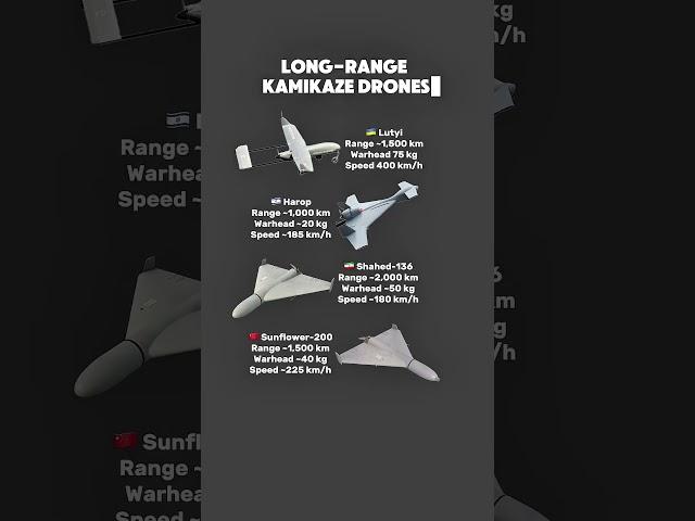 Top 4 Long-Range Kamikaze Drones in the World 