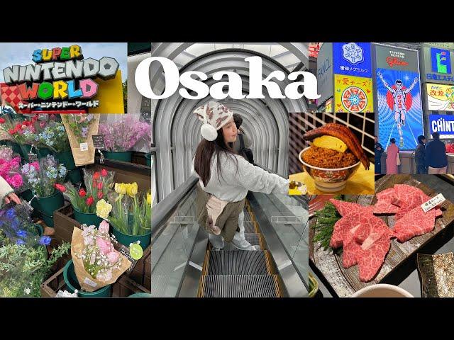 Osaka Vlog | Dotonbori, Umeda, Universal Studios, BEST food 2024 