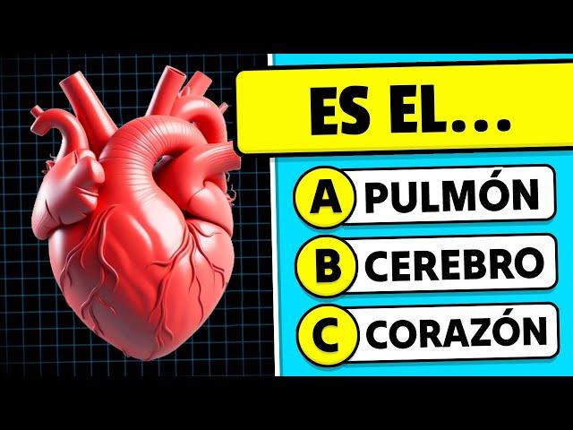 ¿Cuánto Sabes del CUERPO HUMANO?  | 30 Preguntas de Cultura General