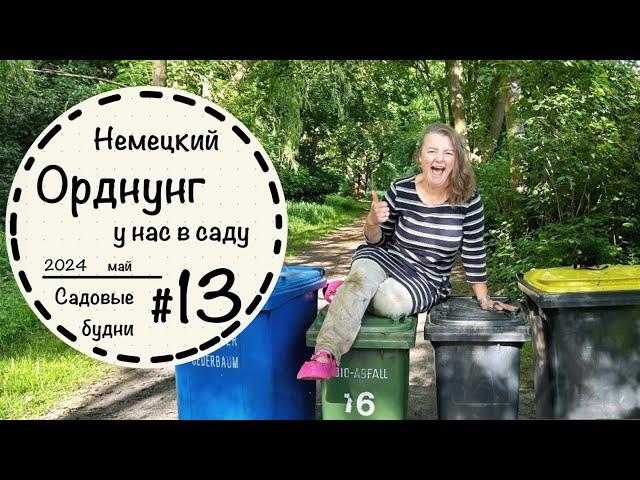 Садовые будни #13️ Борюсь с огневкой ️Новинки в саду️Уход за дорожками️Альтернатива самшиту