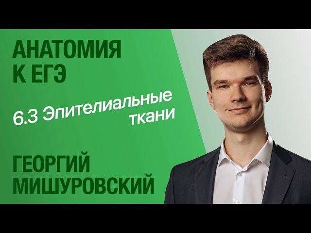 6.3. Эпителиальные ткани | Анатомия к ЕГЭ | Георгий Мишуровский
