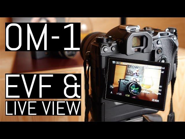 OM System OM-1 – Electronic Viewfinder and Live View Expert Guide