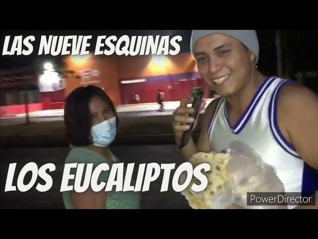 Visitando la colonia LOS EUCALIPTOS las Nueve Esquinas en Guanatos | con el Rey Del Barrio