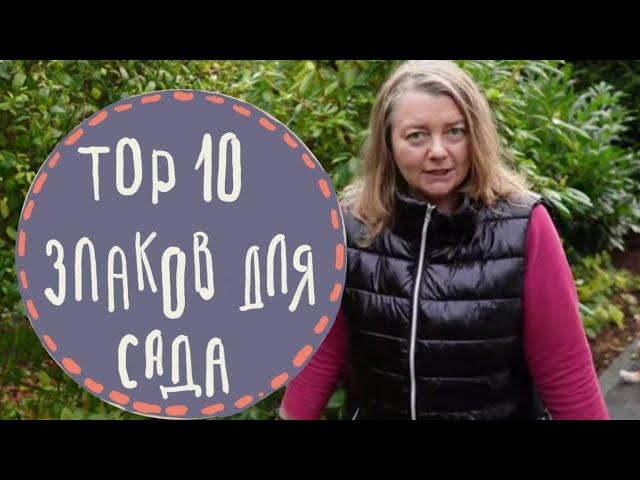 ТОП 10 - самых любимых и не любимых злаков