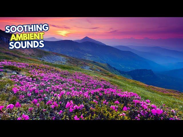 Experience 3 Hours of Soothing Nature Sounds & Breathtaking Scenery | Mountains & Cosmic Wonders