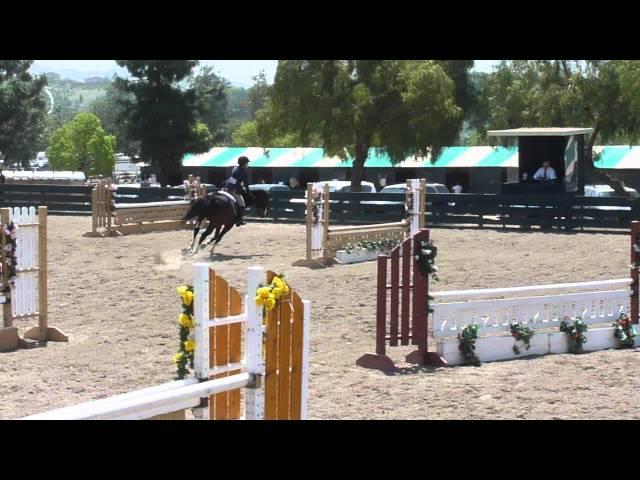 2011-2012 IEL Show Season - Show #4 Matti Schulman JV Handy Hunter