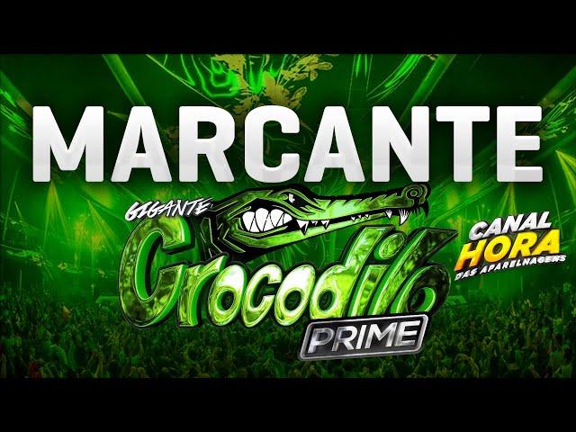 MARCANTES AS MELHORES   CROCODILO PRIME  SET AO VIVO DJS GORDO E DINHO PRESSÃO  O ANIMAL SURREAL DO