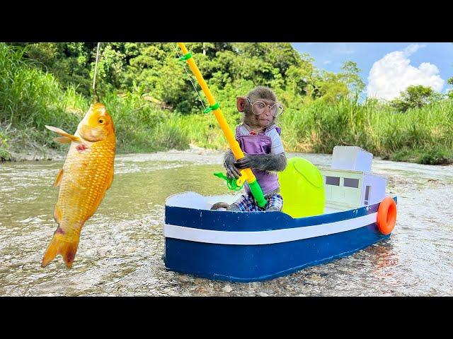 Baby monkey Bim Bim going koi fishing is very funny and cute | Baby Monkey Animal