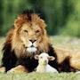 @lisafredericksen1696