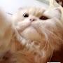 @Omar-e9m9m