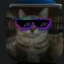 @CAT_WHAT-x9r