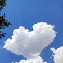 @heartache8341