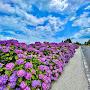 @3PRO-farm