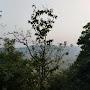 @shreyachauhan1932