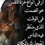 @MimiMimi-zh1kk