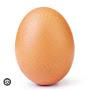 @user_egg221