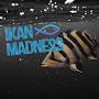 Ikan Madness