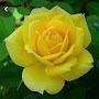 @neelaanbalagan2252