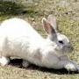 @jpn000kor0000kenichi