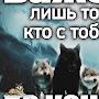 @адинокиволк-р5б