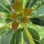 @user-fz4qb8vx4i
